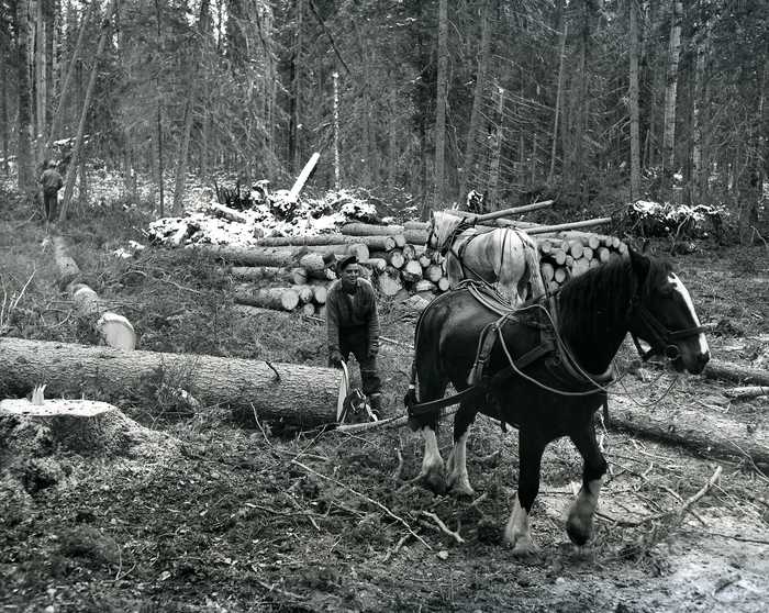 Logging Operation