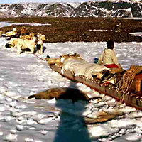 Loaded Trappers' Sled